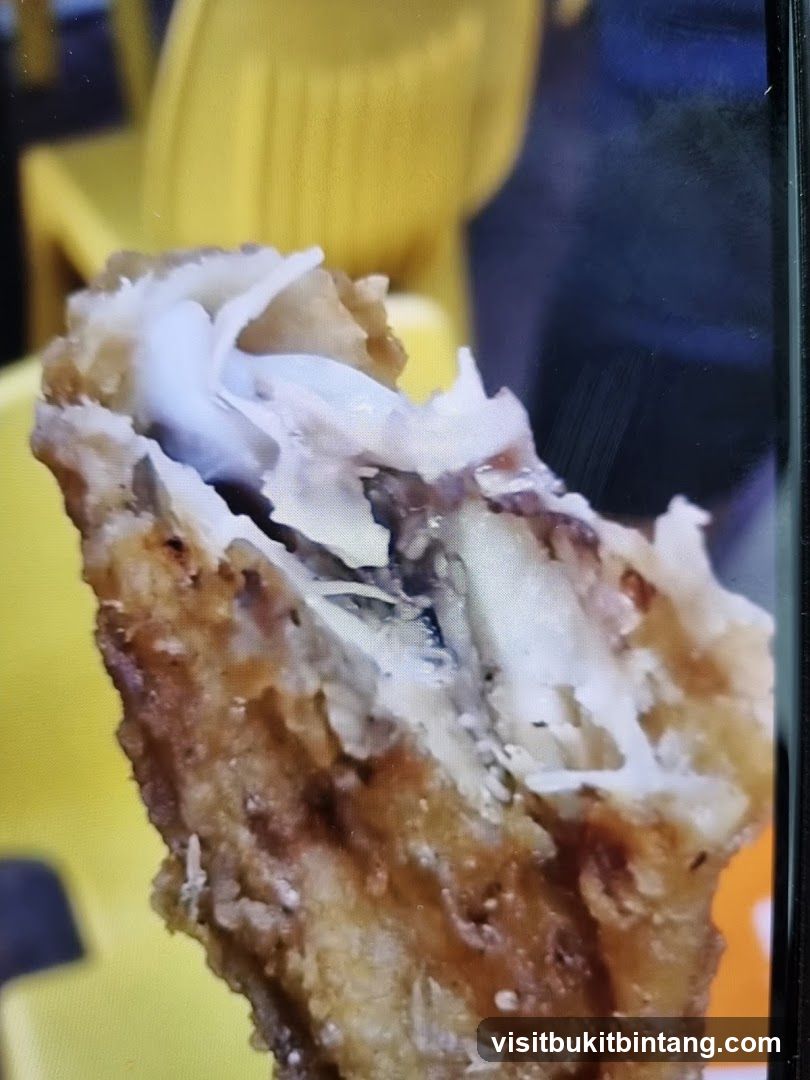 Fried Chicken Piece