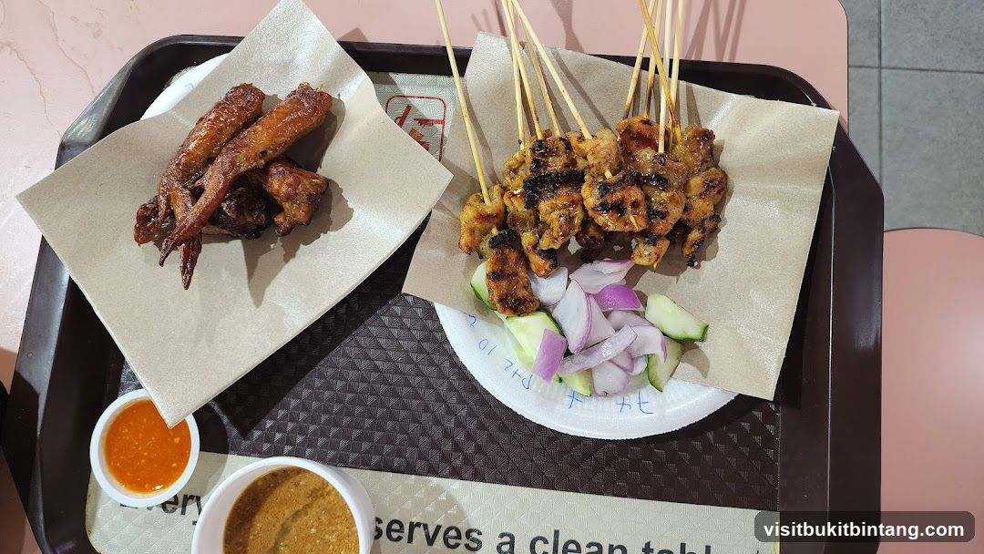 Chicken Satay and Wings