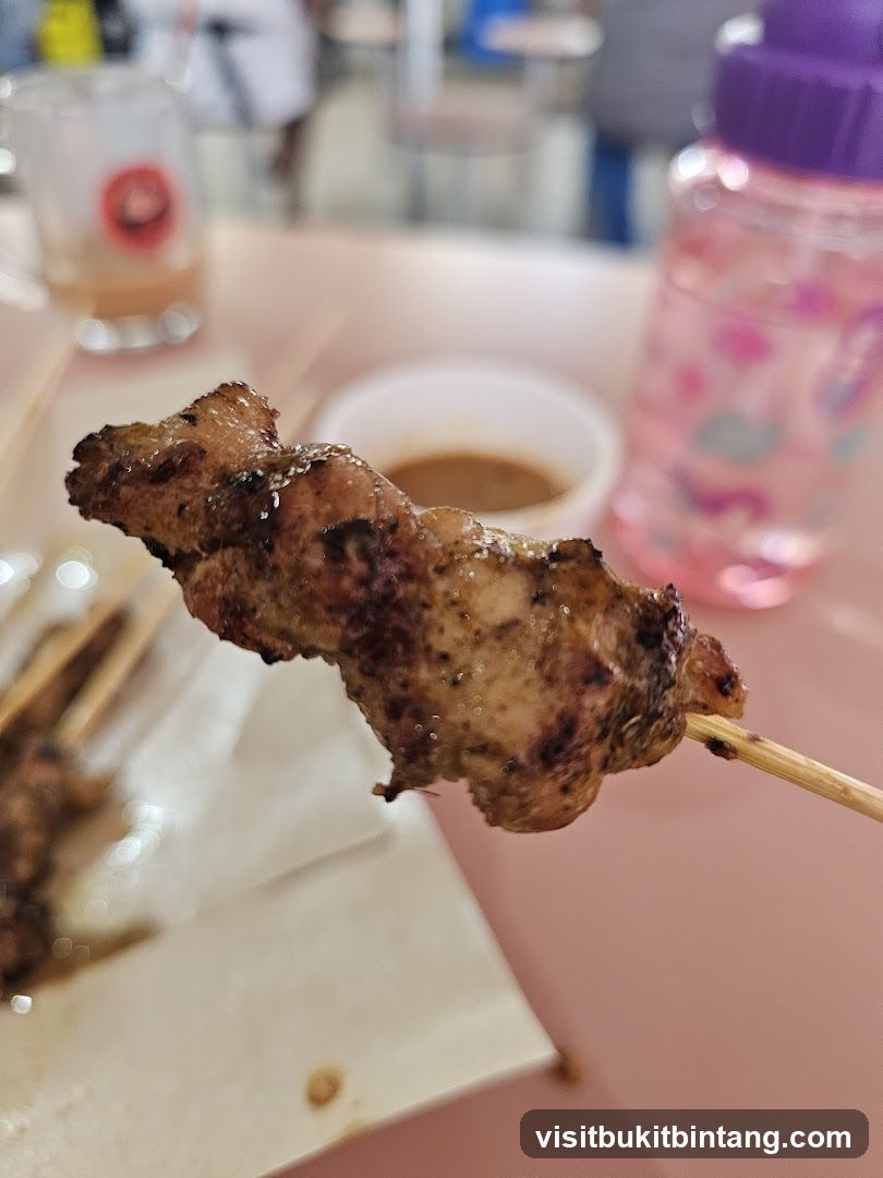 Grilled Meat Skewer