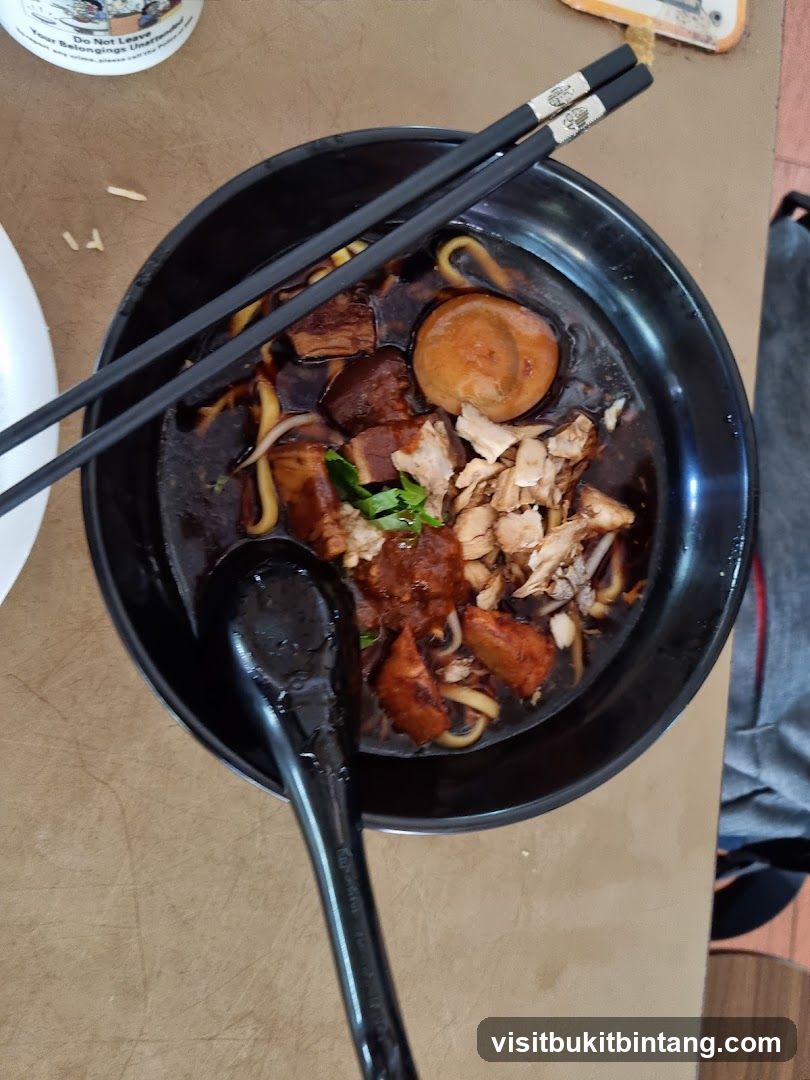 Braised Pork Noodles