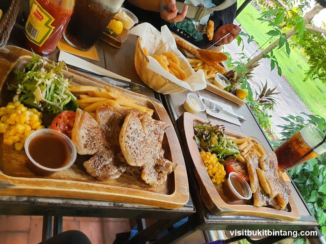 Steak and Fries Platter