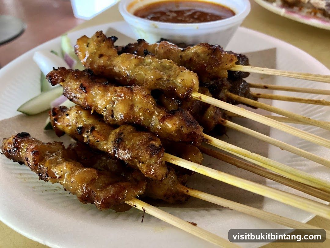 Chicken Satay with Peanut Sauce