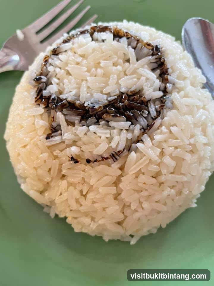 Thiam Kee Hainanese Chicken Rice • Noodles