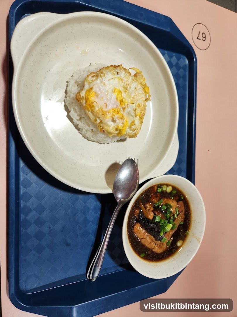Rice with Fried Egg and Braised Meat