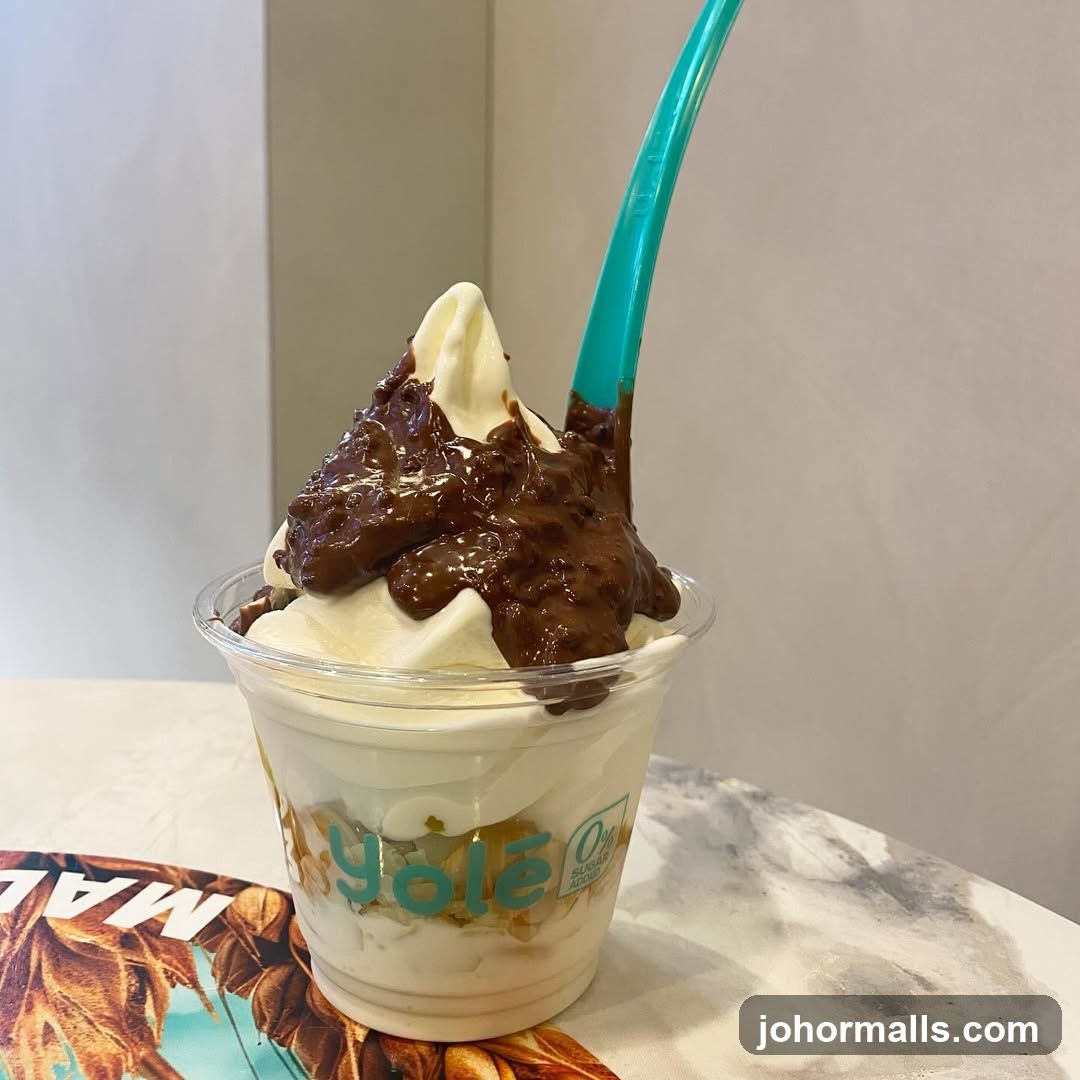 Frozen Yogurt with Chocolate Topping