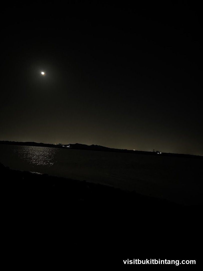 Moonlit seascape