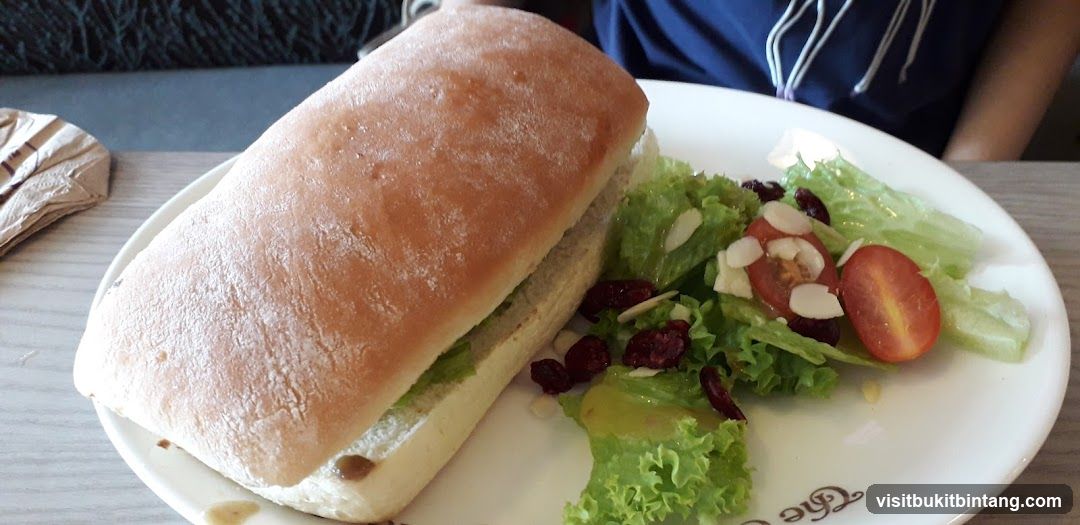 Sandwich and Salad