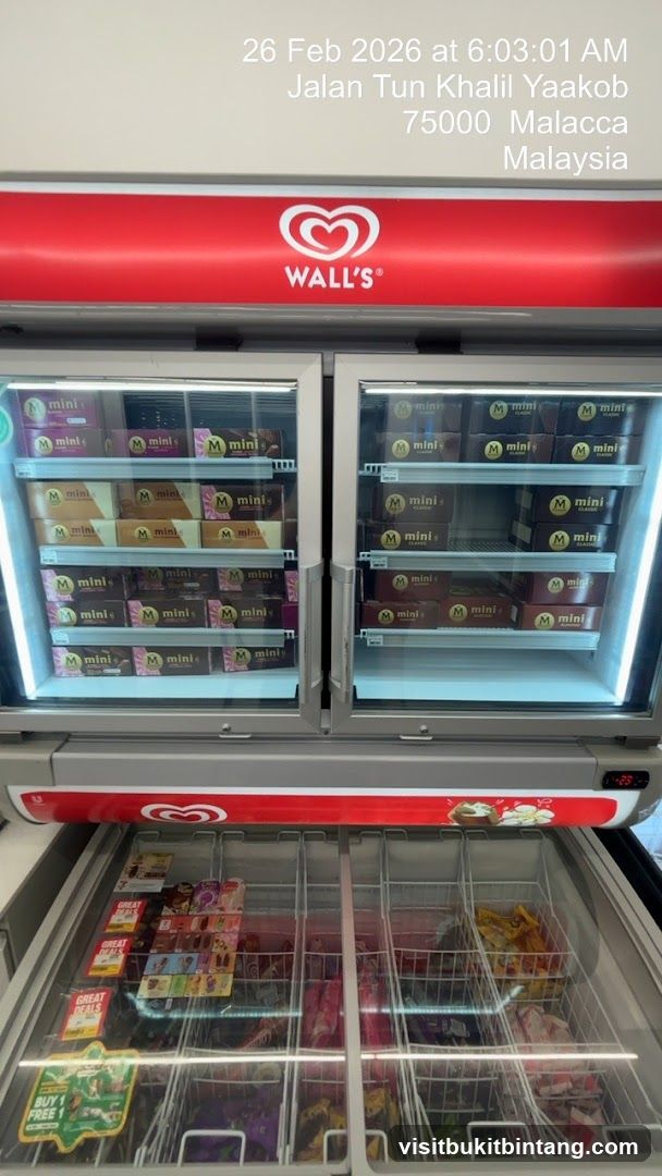Wall's Ice Cream Freezers