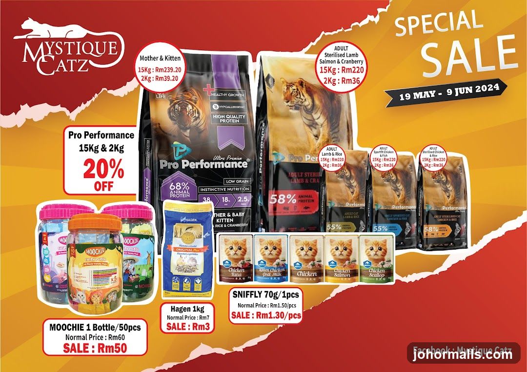 Mystique Catz Special Sale