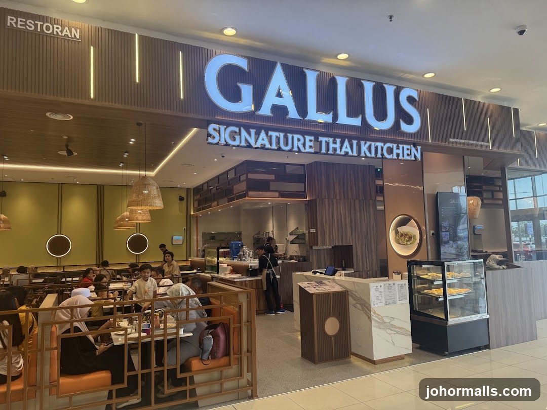 Gallus