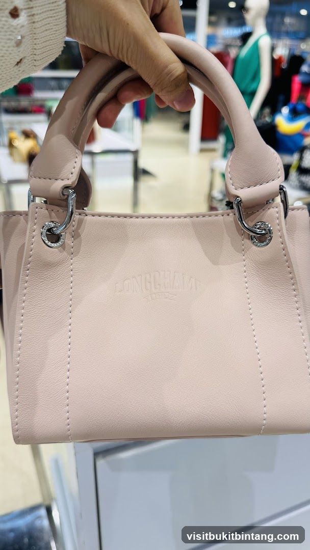 Hand holding a pink Longchamp bag