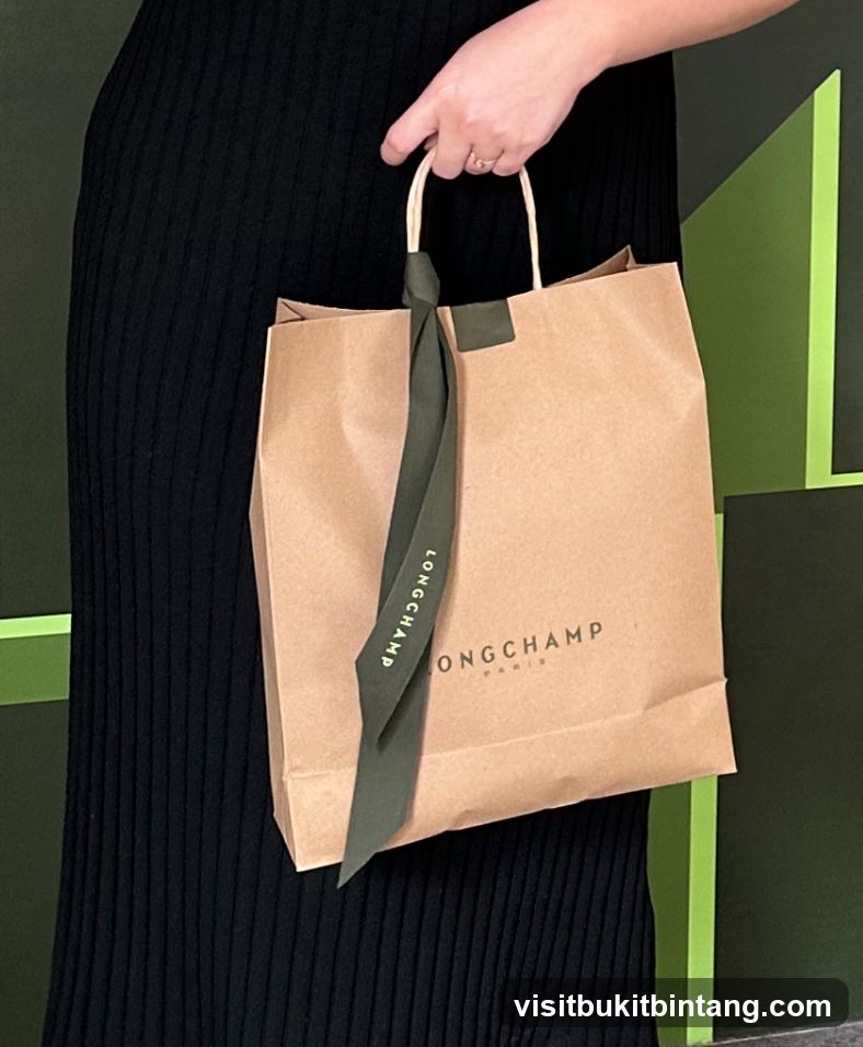 Longchamp shopping bag