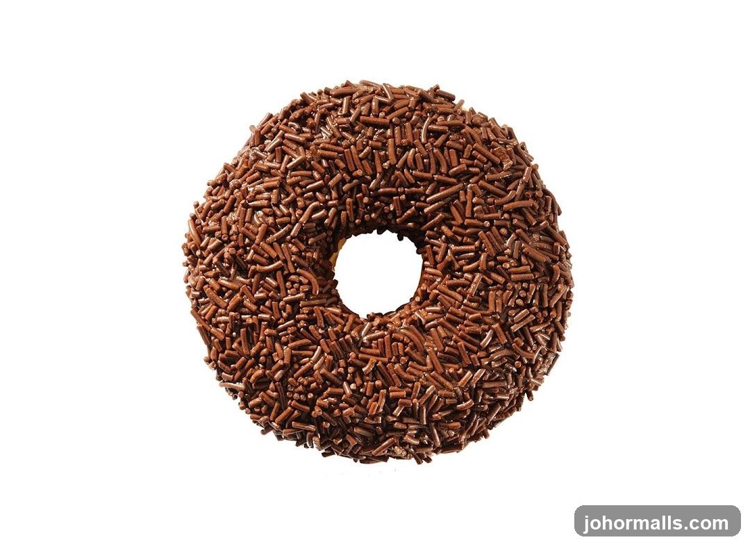 Chocolate Sprinkled Donut