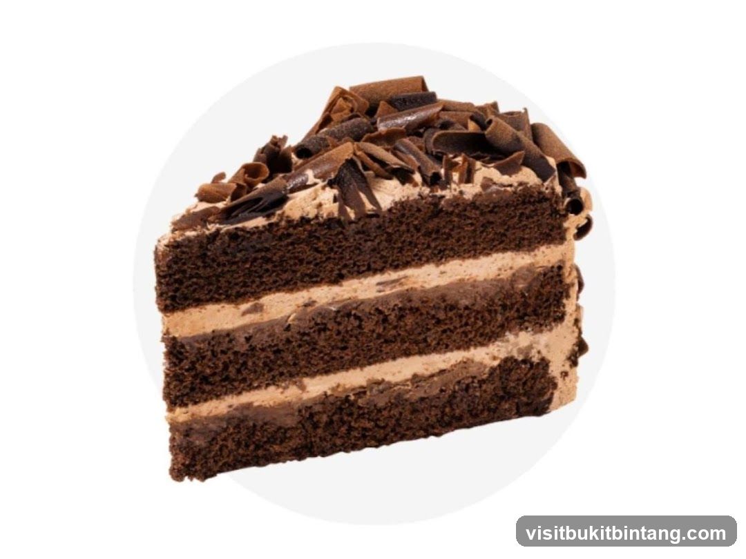 Chocolate Cake Slice