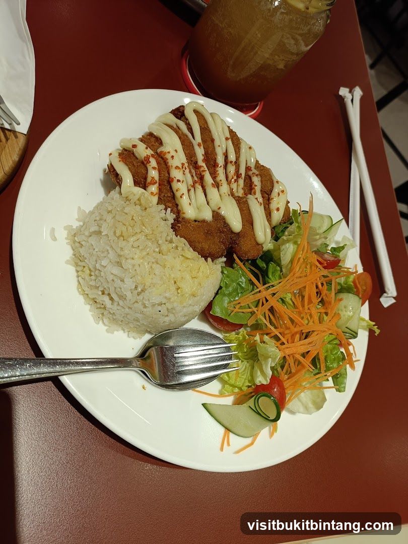 Fried Chicken with Rice and Salad
