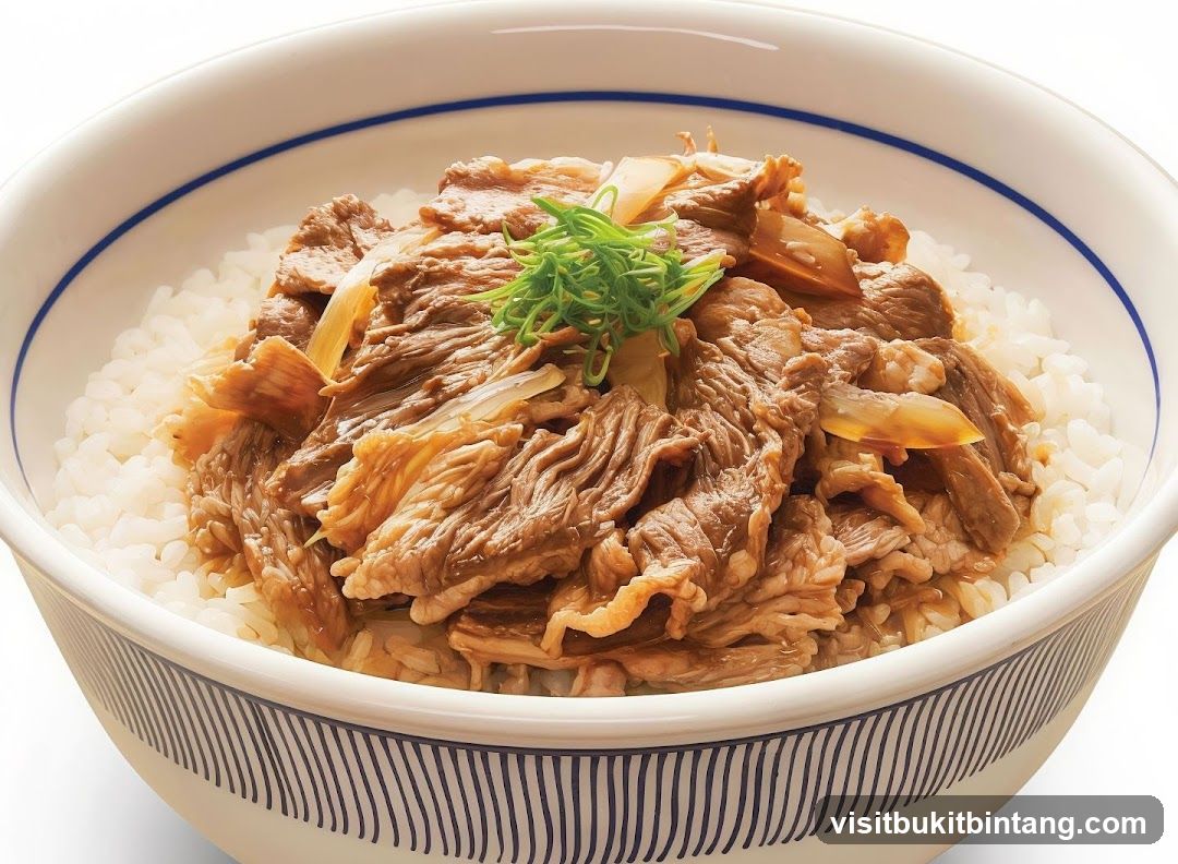 Beef and Rice Bowl