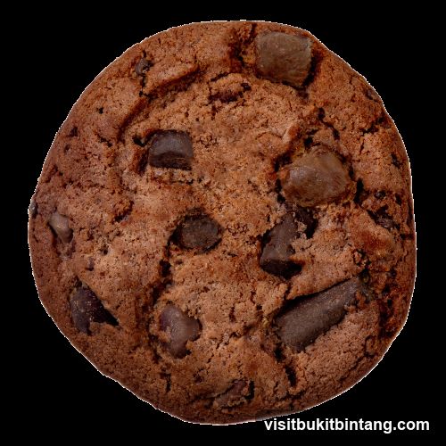 Chocolate Chip Cookie
