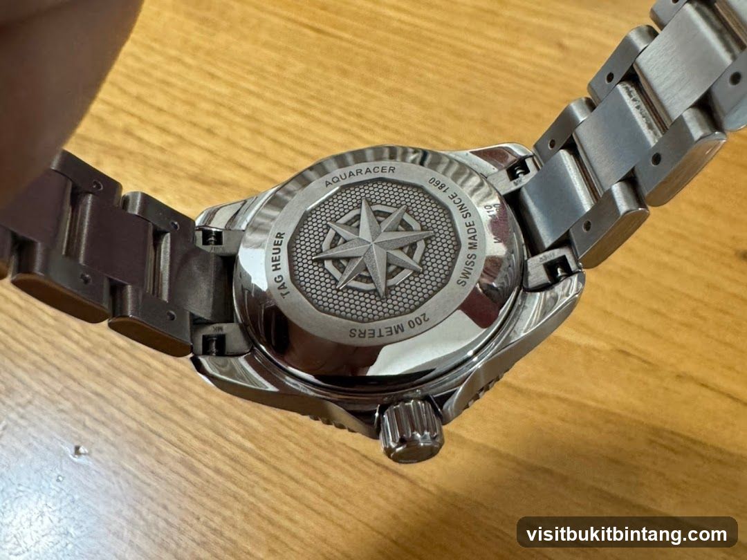 Watch Caseback