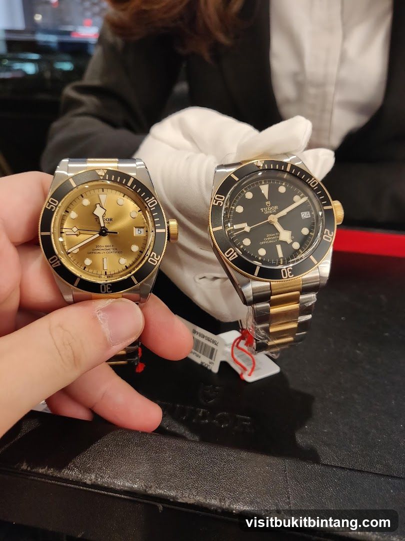 Two Tudor Watches