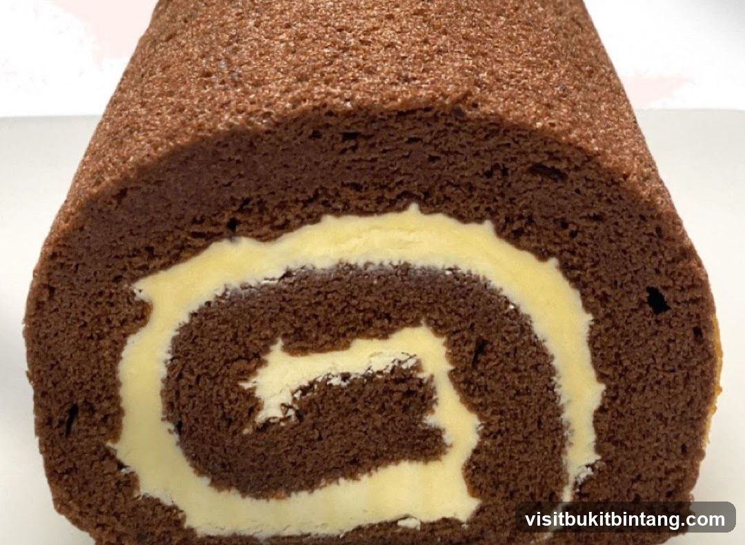 Chocolate Swiss Roll