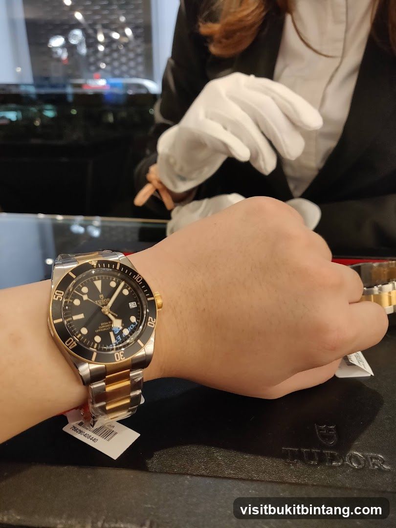 Tudor Watch on Wrist