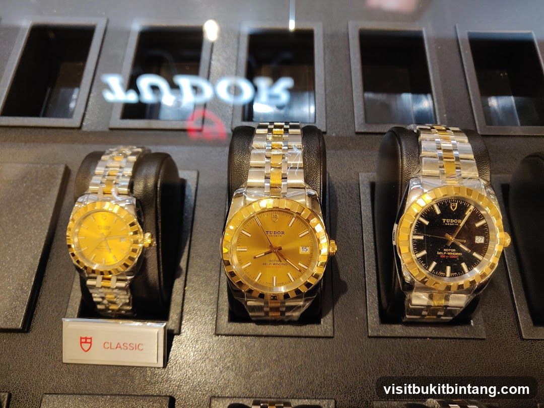 Tudor Watches Display