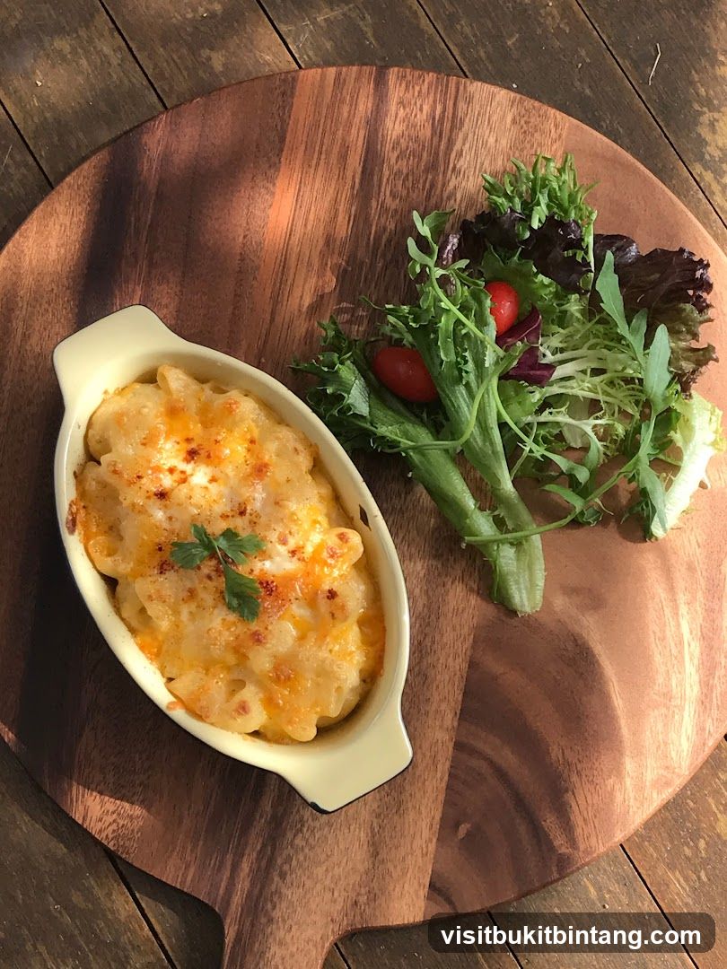 Macaroni and Cheese with Side Salad