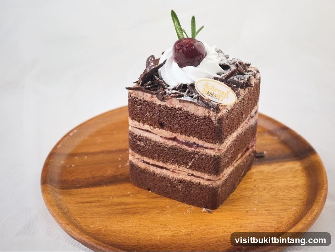 Chocolate Cake Slice