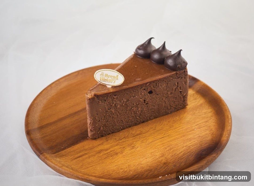 Chocolate Cake Slice
