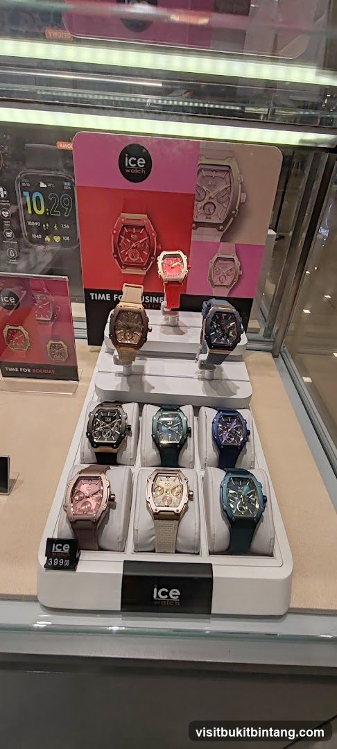 ICE Watch Display