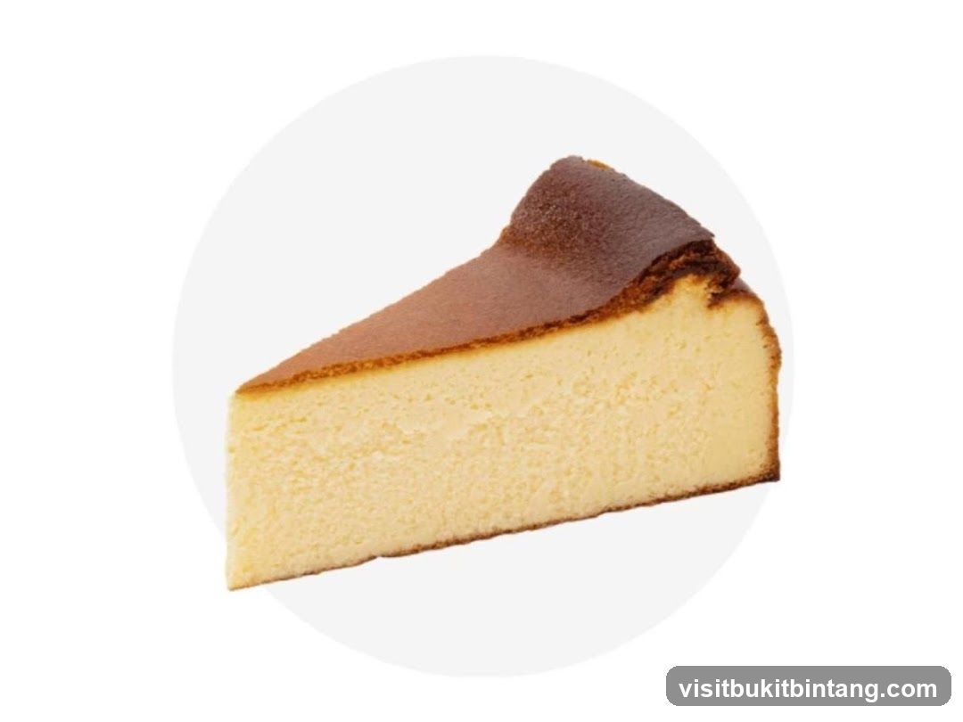 Slice of Burnt Basque Cheesecake