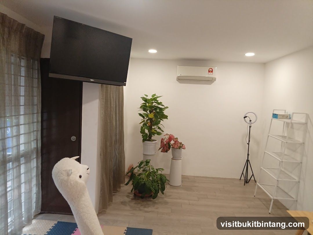 Room with TV and plants