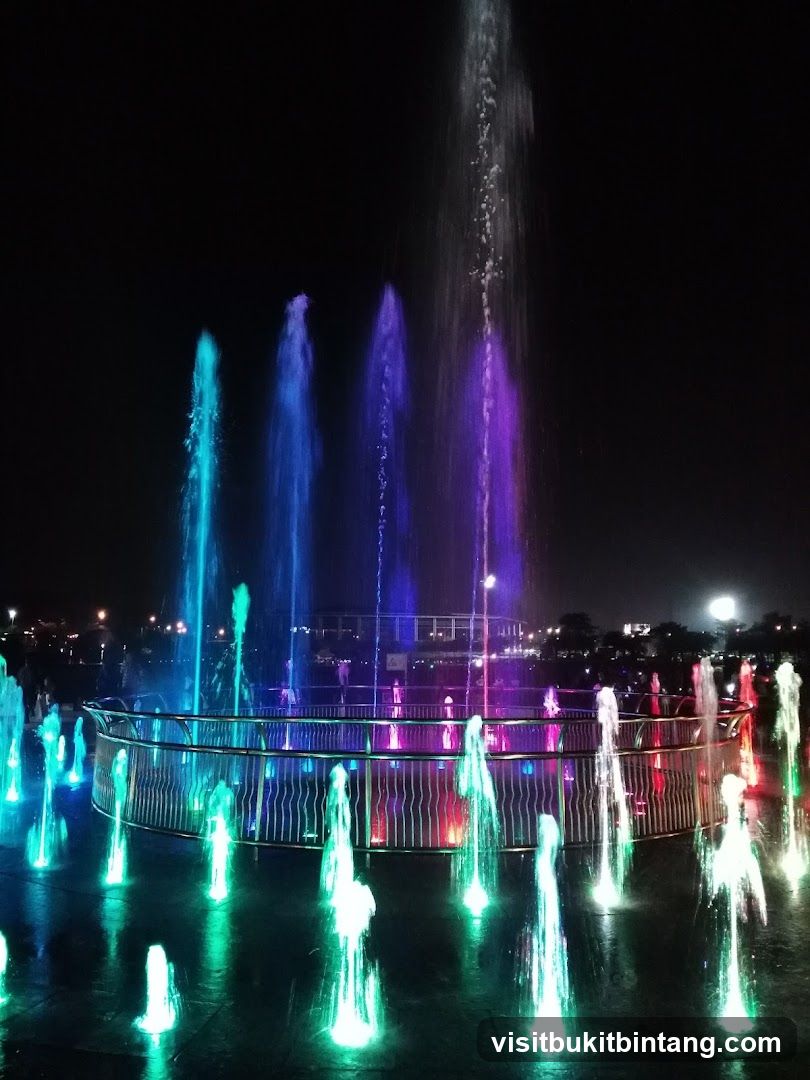Colorful Fountain Display at Night