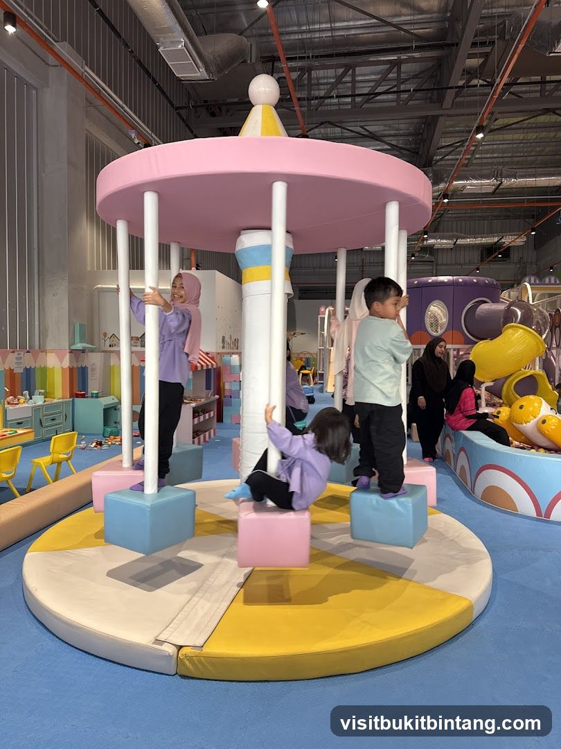 Indoor Playground Carousel