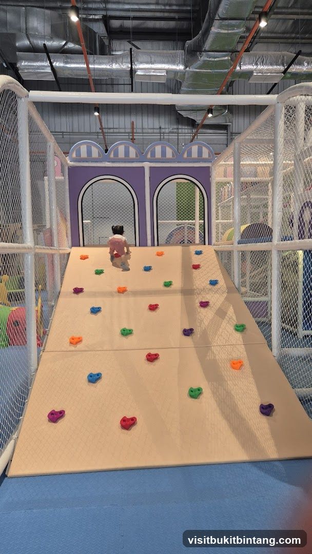 Indoor Playground Climbing Wall