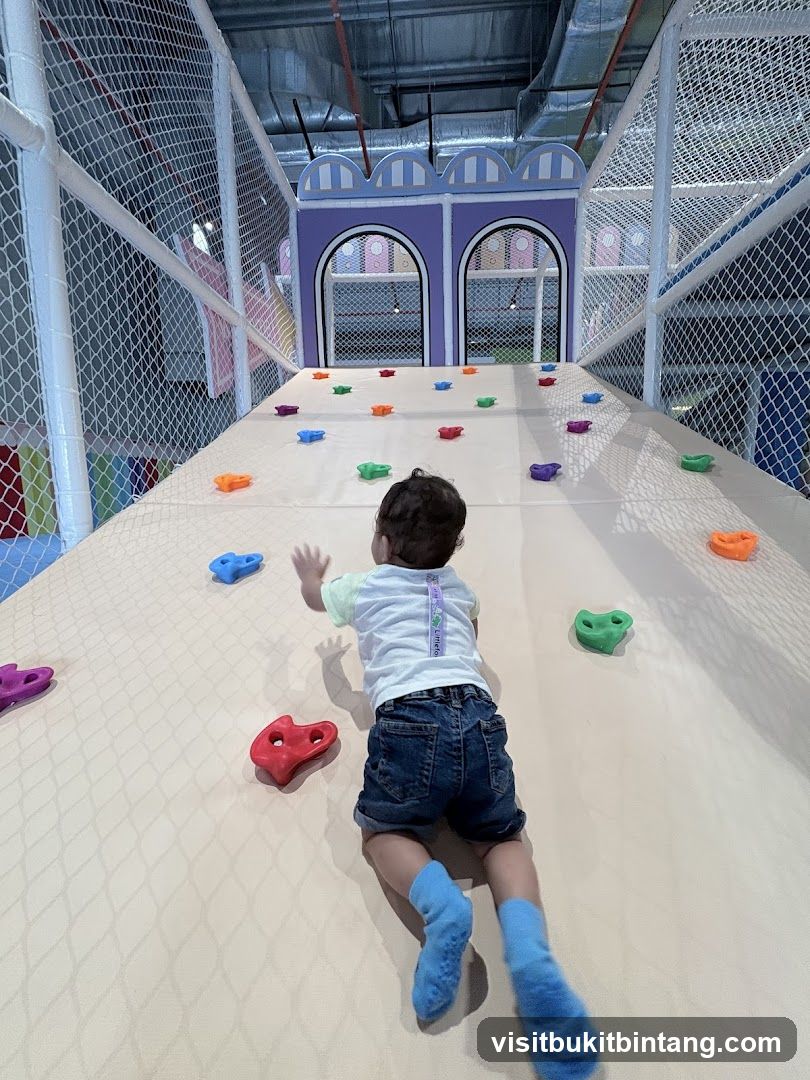 Indoor Climbing Wall