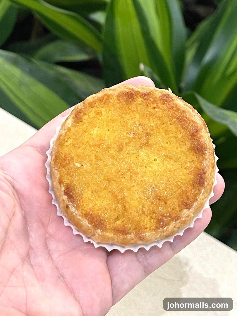 Hand holding a tart