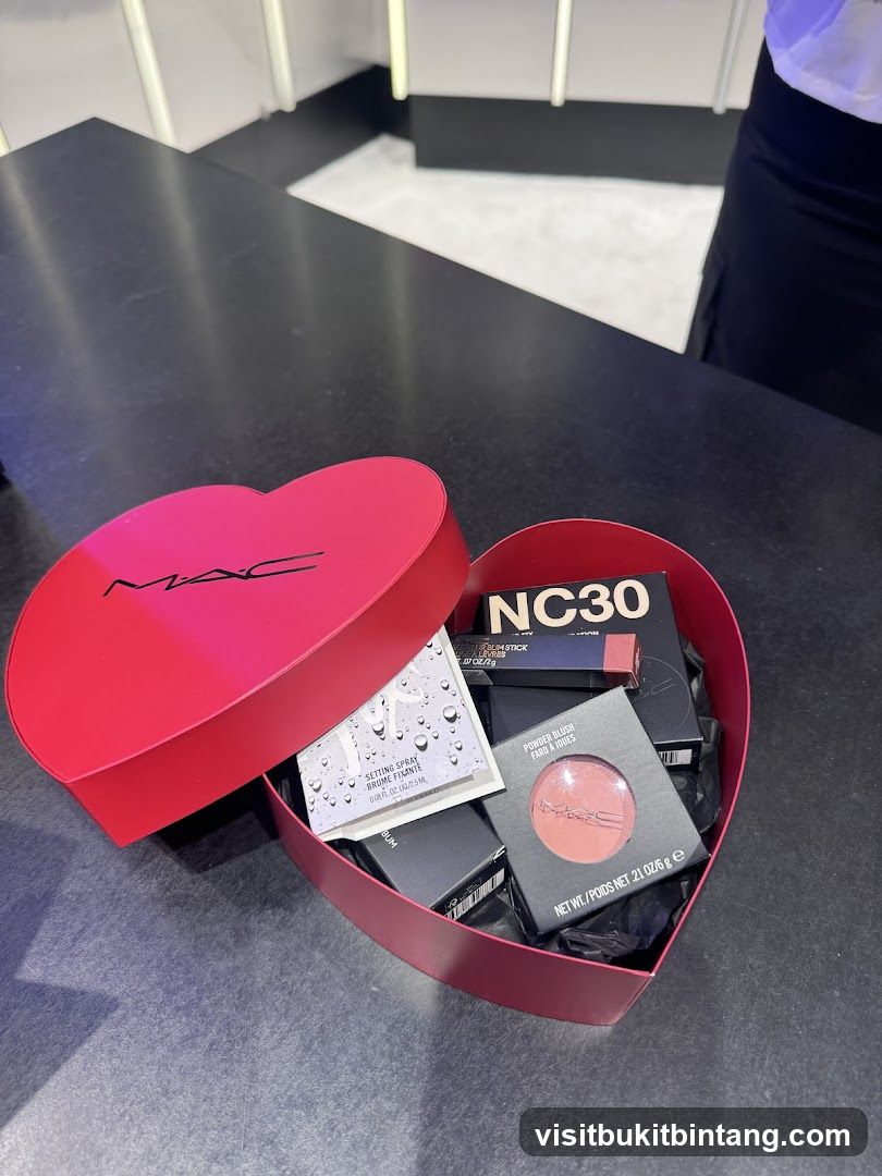 MAC Cosmetics Gift Box