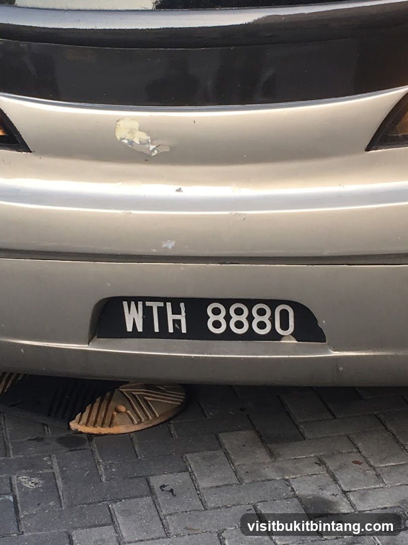 License Plate and Sandal