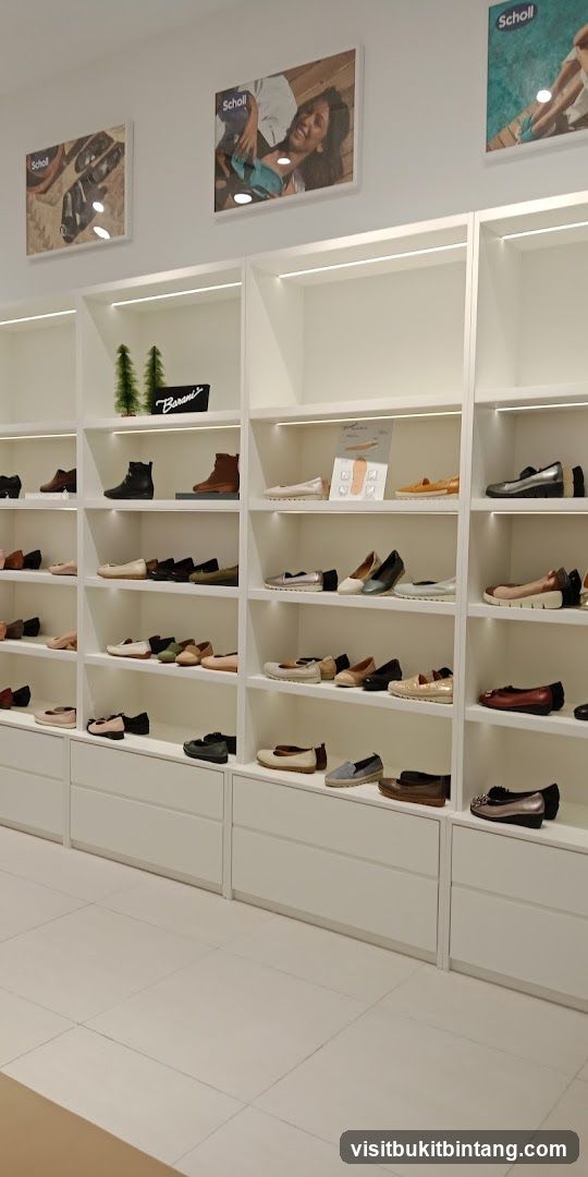 Scholl @ Setia City Mall