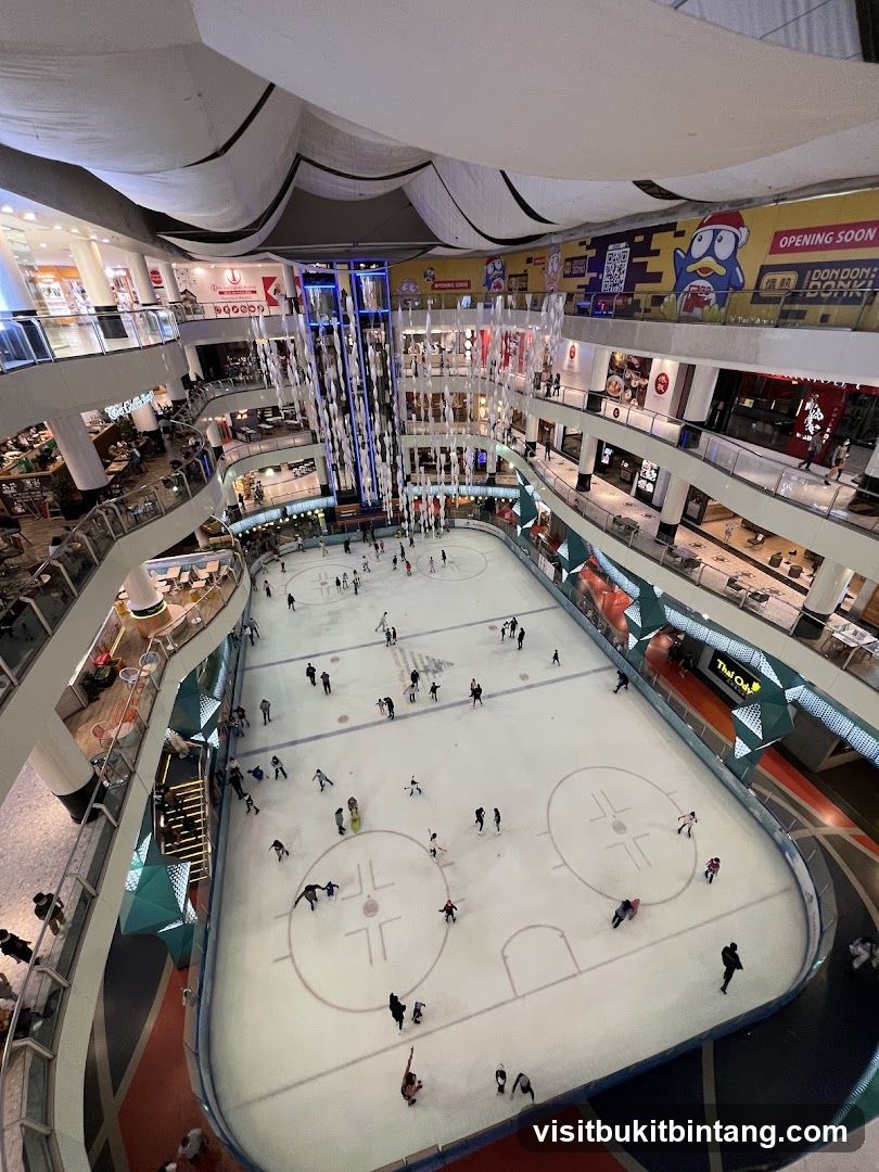 Indoor Ice Skating Rink in a Mall