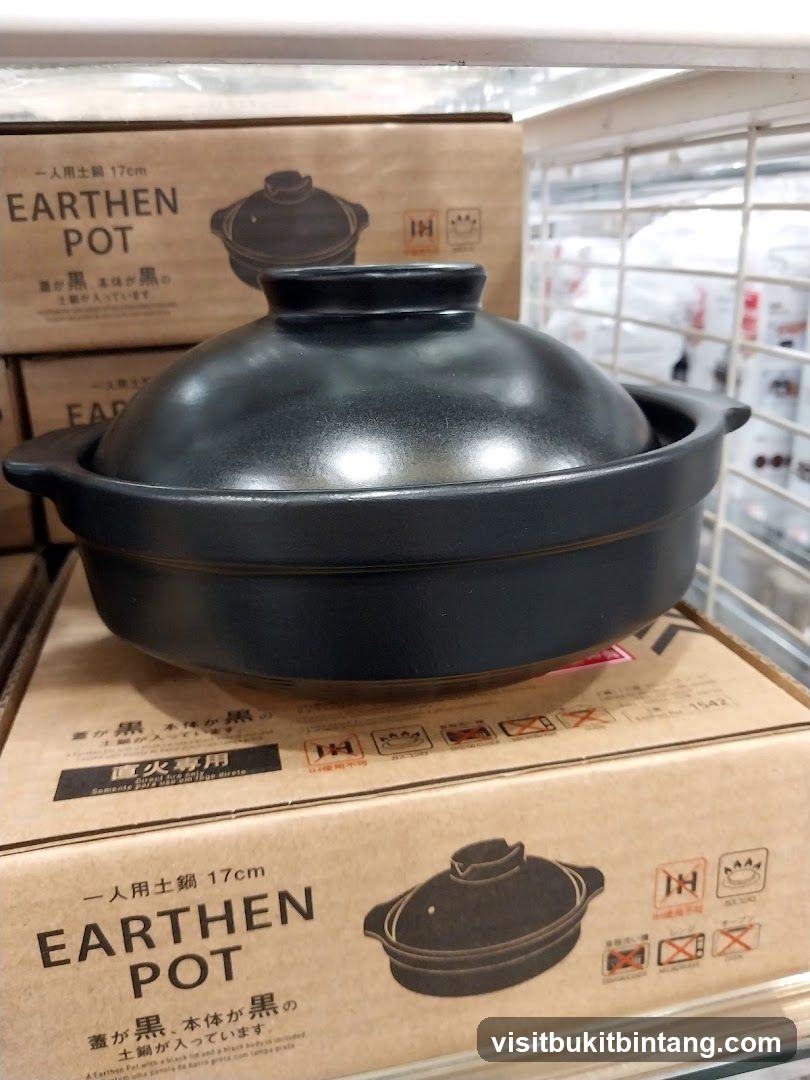 Earthen Pot