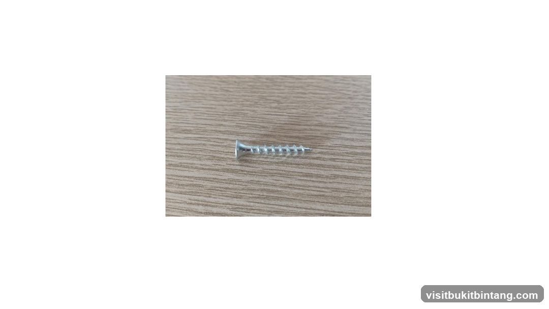 Screw on Wood Grain Surface
