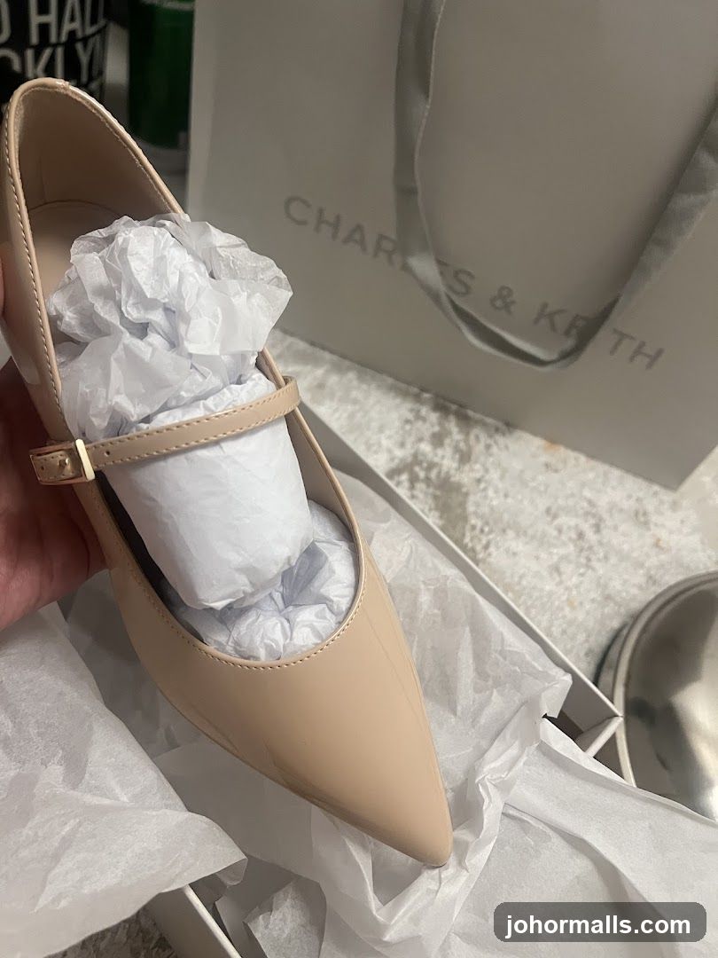 Charles & Keith Shoe