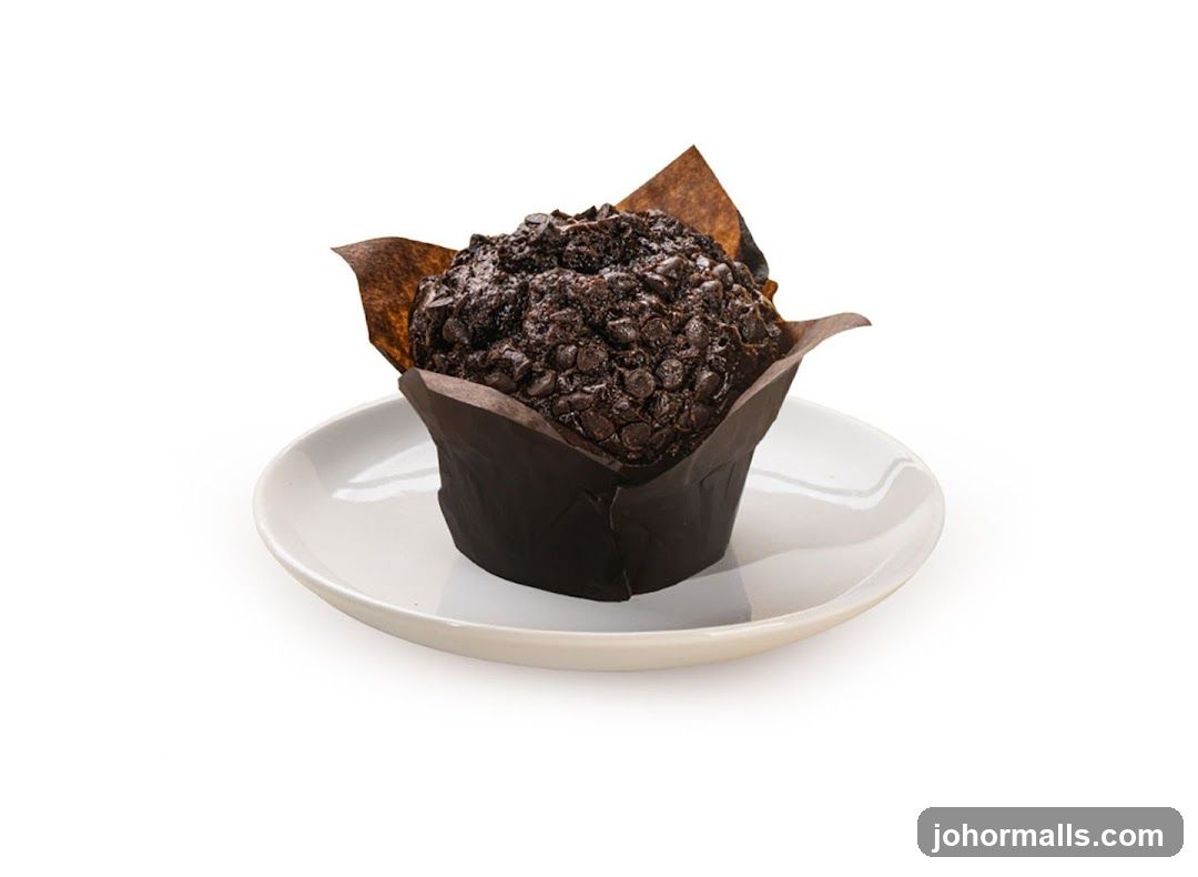 Chocolate Chip Muffin