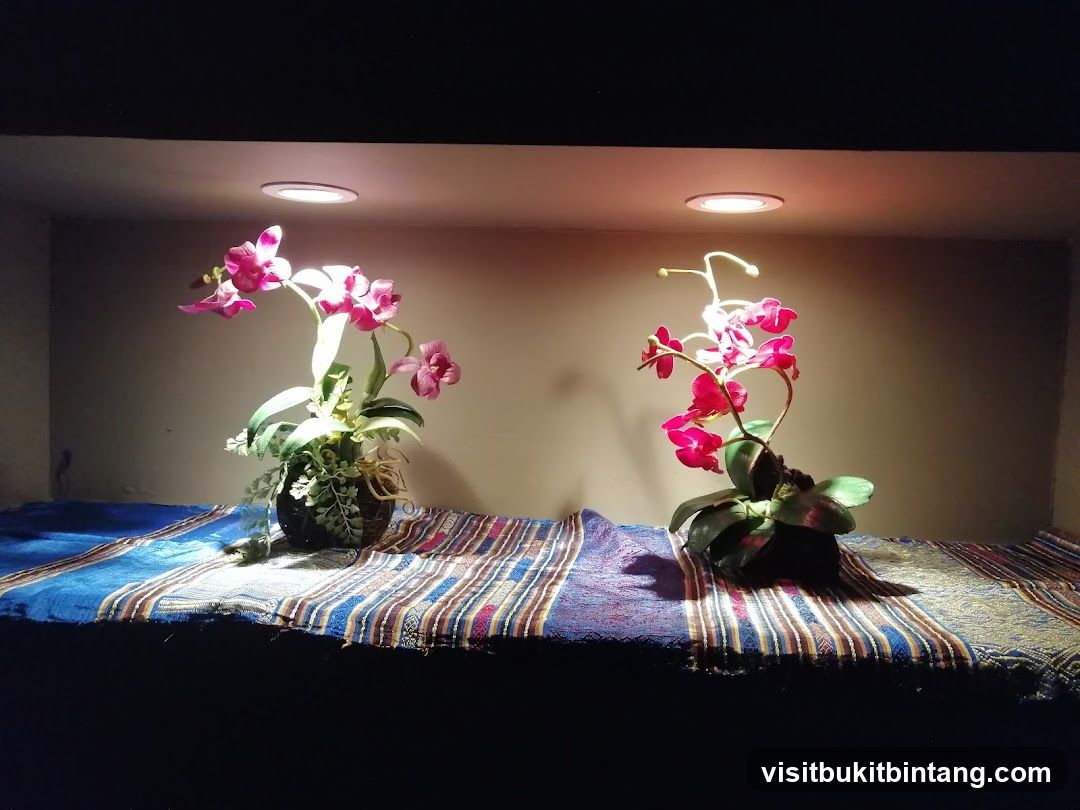 Orchid Display