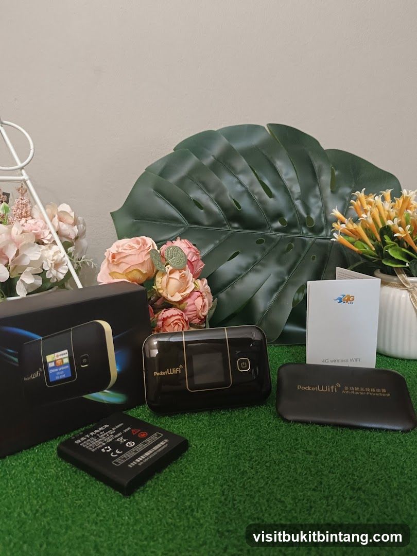 Pocket WiFi Devices and Accessories