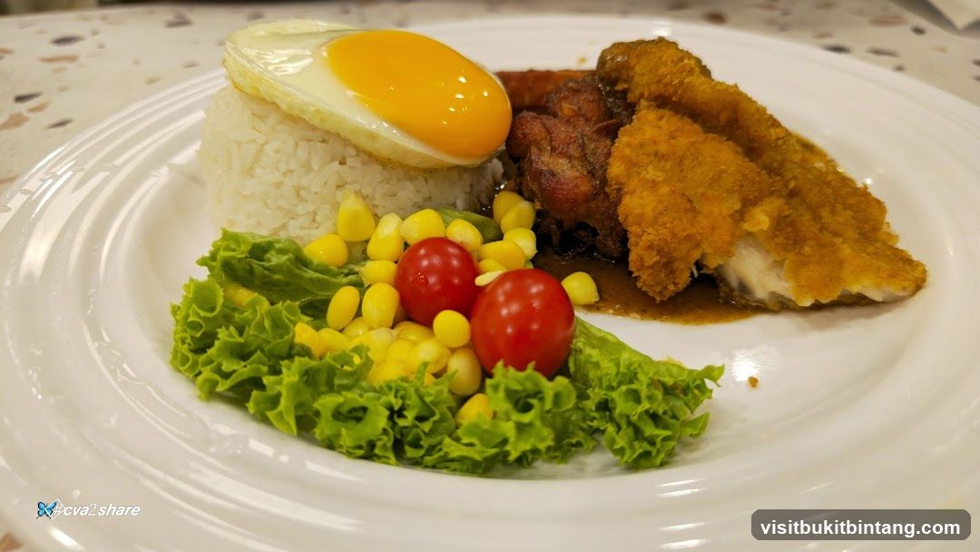 Fried Egg and Rice with Chicken and Fish