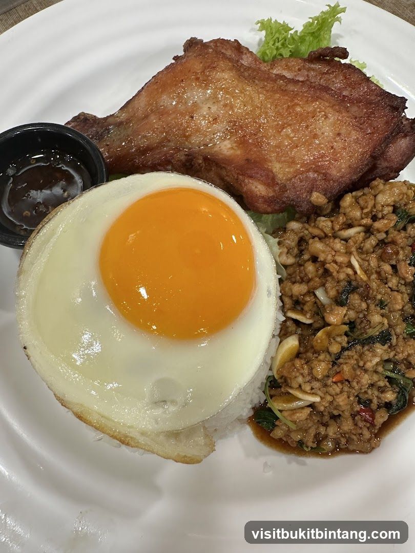 Fried Chicken with Rice and Egg
