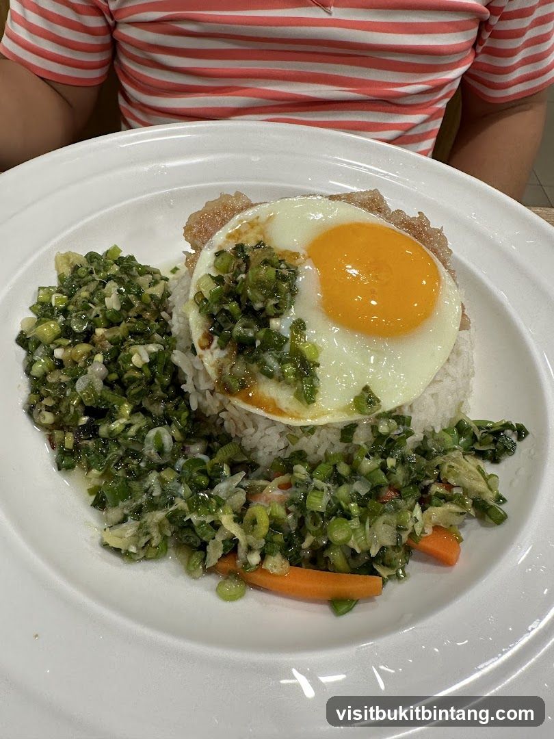 Pork Chop Rice with Fried Egg